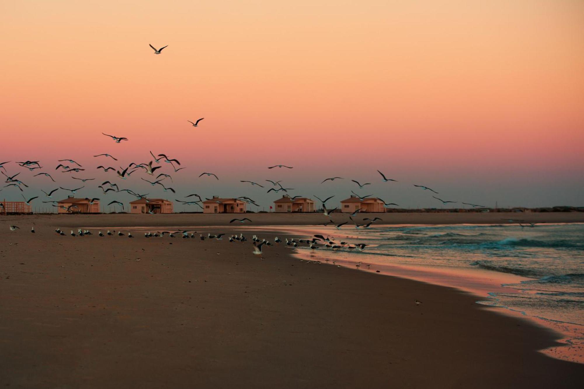 Ocean Vagabond Lassarga Otel Dakhla Dış mekan fotoğraf